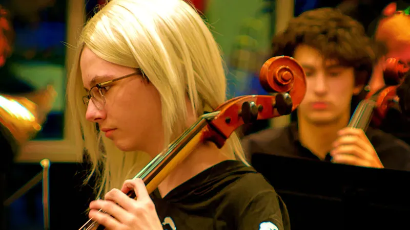 LHS  Symphony, Chamber and Concert Orchestras. — photograph 4 of 58
