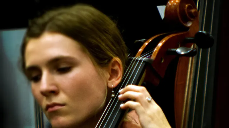 LHS  Symphony, Chamber and Concert Orchestras. — photograph 8 of 58