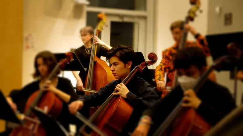 LHS  Symphony, Chamber and Concert Orchestras. — photograph 12 of 58