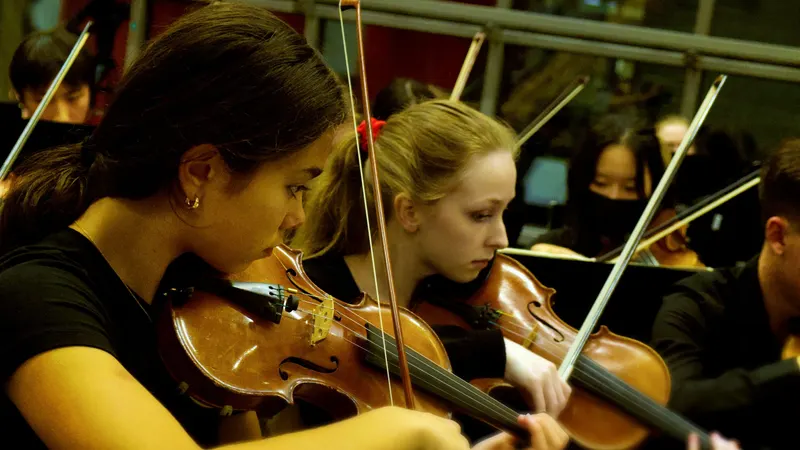 LHS  Symphony, Chamber and Concert Orchestras. — photograph 17 of 58