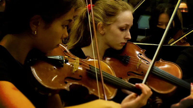 LHS  Symphony, Chamber and Concert Orchestras. — photograph 18 of 58