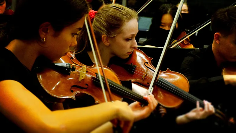 LHS  Symphony, Chamber and Concert Orchestras. — photograph 19 of 58