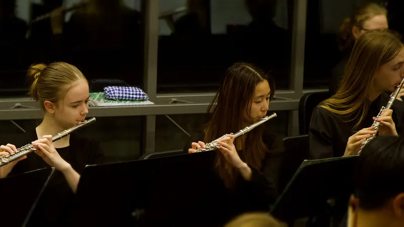LHS  Symphony, Chamber and Concert Orchestras. — photograph 21 of 58