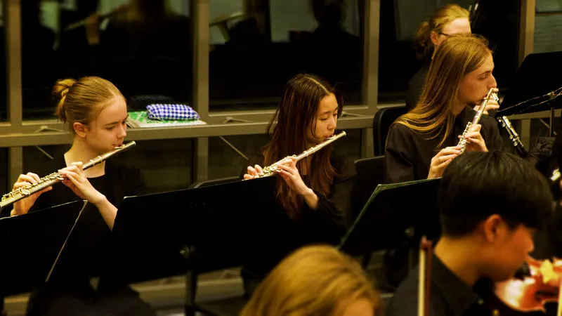 LHS  Symphony, Chamber and Concert Orchestras. — photograph 22 of 58