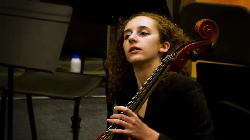 LHS  Symphony, Chamber and Concert Orchestras. — photograph 23 of 58
