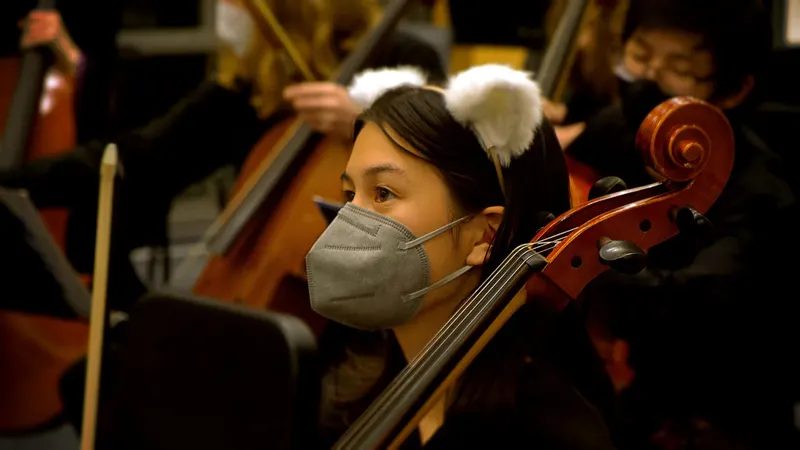 LHS  Symphony, Chamber and Concert Orchestras. — photograph 24 of 58