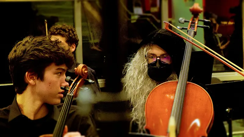 LHS  Symphony, Chamber and Concert Orchestras. — photograph 25 of 58
