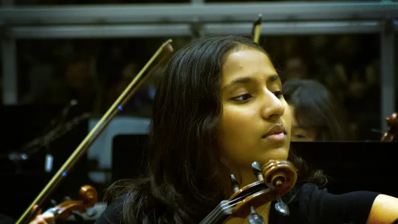 LHS  Symphony, Chamber and Concert Orchestras. — photograph 34 of 58