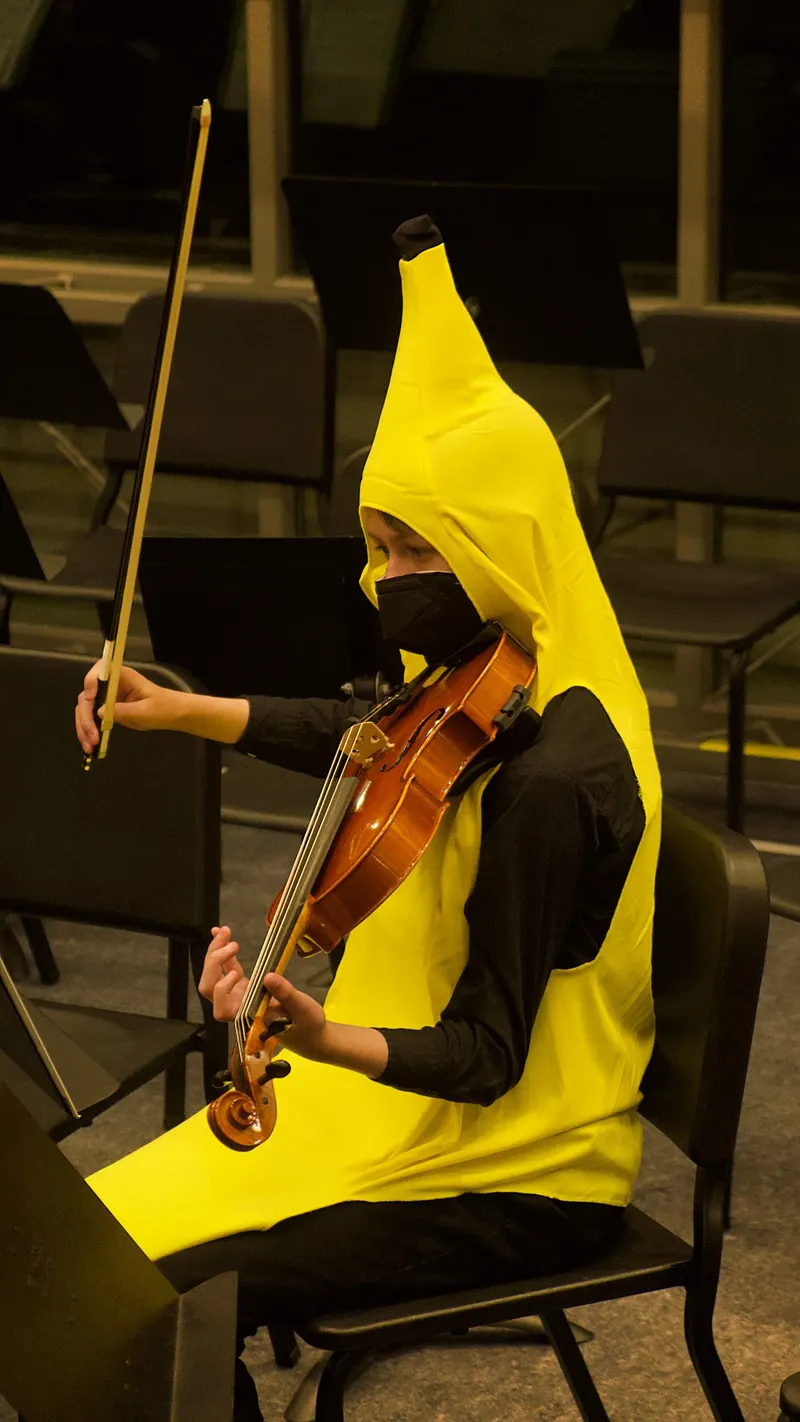 LHS  Symphony, Chamber and Concert Orchestras. — photograph 39 of 58