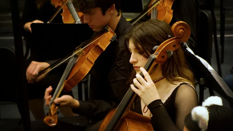LHS  Symphony, Chamber and Concert Orchestras. — photograph 43 of 58
