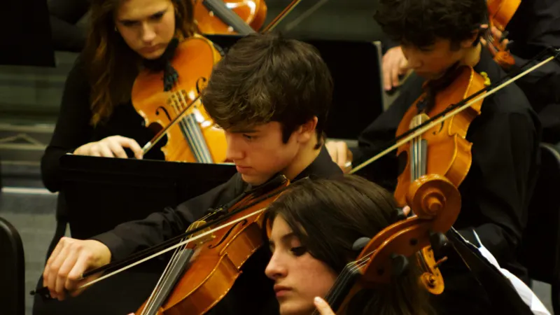 LHS  Symphony, Chamber and Concert Orchestras. — photograph 45 of 58