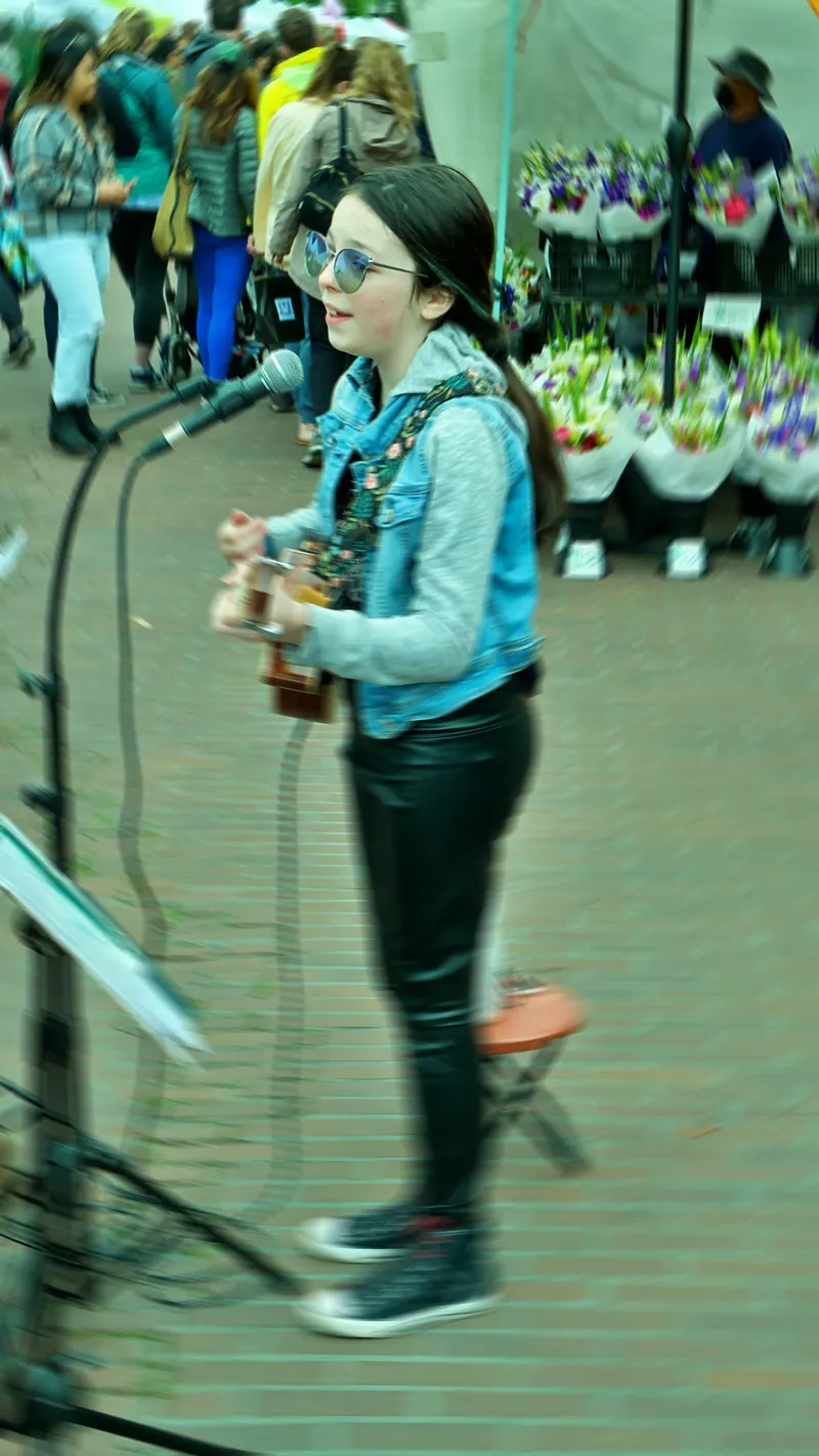 Rara Music — photograph 1 of 9